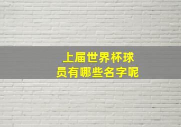 上届世界杯球员有哪些名字呢