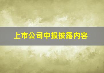 上市公司中报披露内容