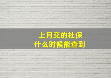 上月交的社保什么时候能查到