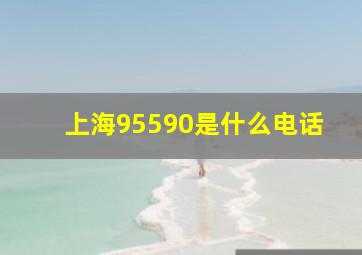 上海95590是什么电话