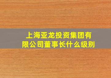 上海亚龙投资集团有限公司董事长什么级别