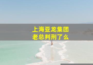 上海亚龙集团老总判刑了么