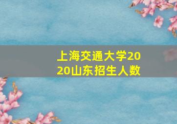 上海交通大学2020山东招生人数