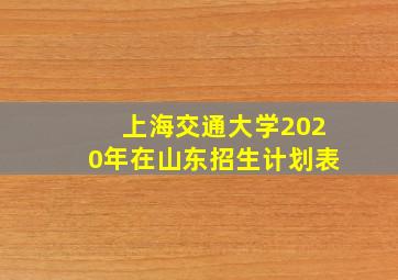 上海交通大学2020年在山东招生计划表