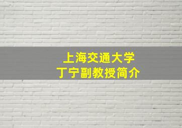 上海交通大学丁宁副教授简介