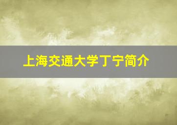 上海交通大学丁宁简介