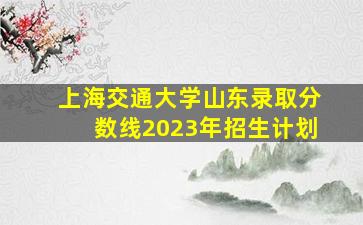 上海交通大学山东录取分数线2023年招生计划