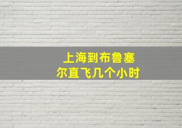 上海到布鲁塞尔直飞几个小时