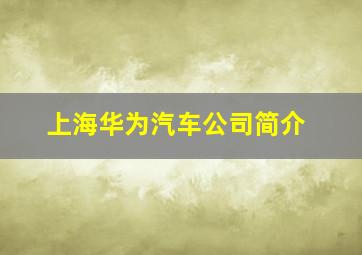 上海华为汽车公司简介