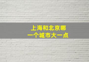 上海和北京哪一个城市大一点