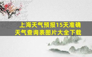 上海天气预报15天准确天气查询表图片大全下载