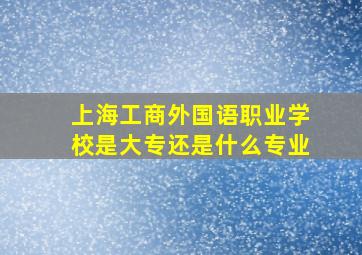 上海工商外国语职业学校是大专还是什么专业