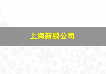 上海新鹏公司