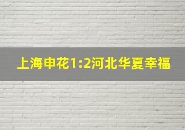 上海申花1:2河北华夏幸福