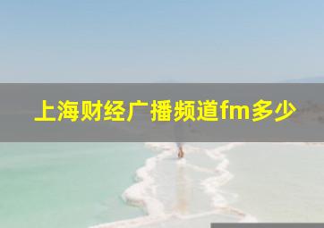 上海财经广播频道fm多少