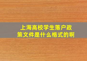 上海高校学生落户政策文件是什么格式的啊