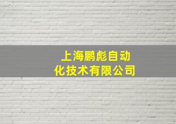 上海鹏彪自动化技术有限公司