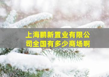 上海鹏新置业有限公司全国有多少商场啊