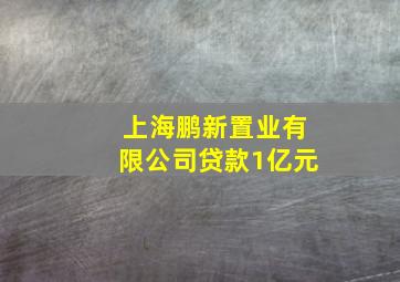 上海鹏新置业有限公司贷款1亿元