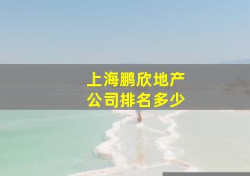 上海鹏欣地产公司排名多少