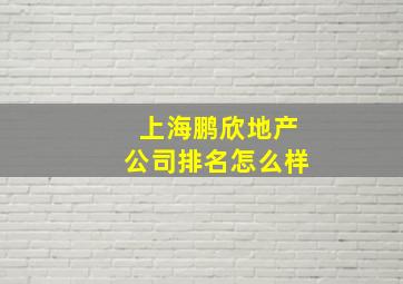 上海鹏欣地产公司排名怎么样