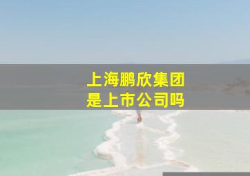 上海鹏欣集团是上市公司吗