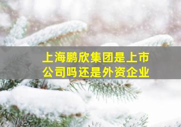 上海鹏欣集团是上市公司吗还是外资企业