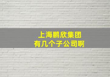 上海鹏欣集团有几个子公司啊