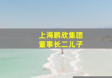 上海鹏欣集团董事长二儿子