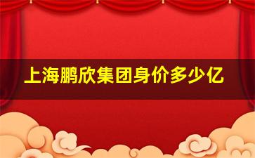 上海鹏欣集团身价多少亿