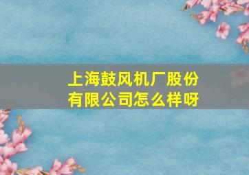 上海鼓风机厂股份有限公司怎么样呀