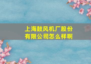 上海鼓风机厂股份有限公司怎么样啊