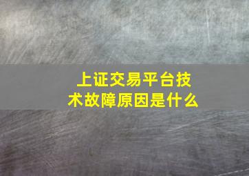 上证交易平台技术故障原因是什么