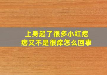 上身起了很多小红疙瘩又不是很痒怎么回事