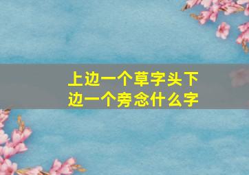 上边一个草字头下边一个旁念什么字