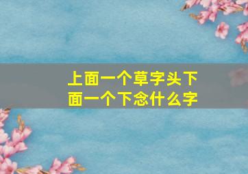 上面一个草字头下面一个下念什么字