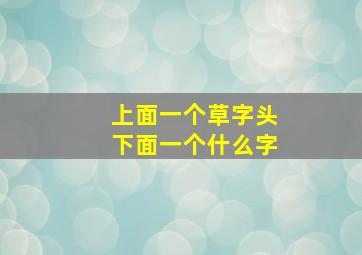 上面一个草字头下面一个什么字