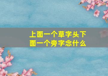 上面一个草字头下面一个旁字念什么