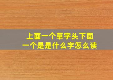 上面一个草字头下面一个是是什么字怎么读