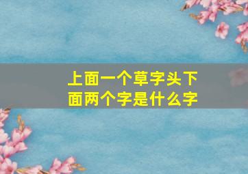 上面一个草字头下面两个字是什么字