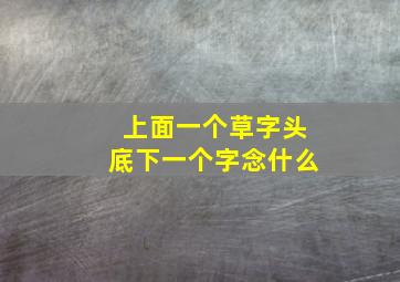 上面一个草字头底下一个字念什么