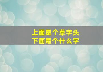 上面是个草字头下面是个什么字