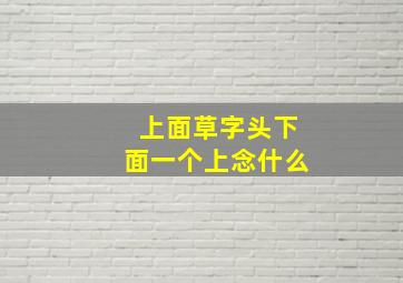 上面草字头下面一个上念什么