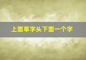 上面草字头下面一个字