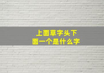 上面草字头下面一个是什么字