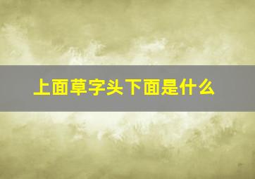 上面草字头下面是什么