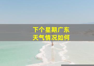 下个星期广东天气情况如何