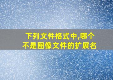 下列文件格式中,哪个不是图像文件的扩展名