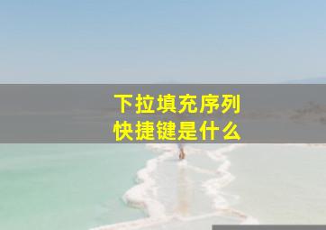 下拉填充序列快捷键是什么