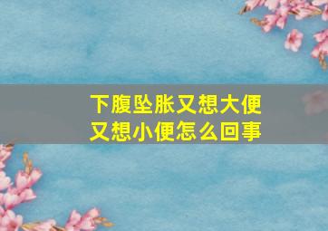 下腹坠胀又想大便又想小便怎么回事